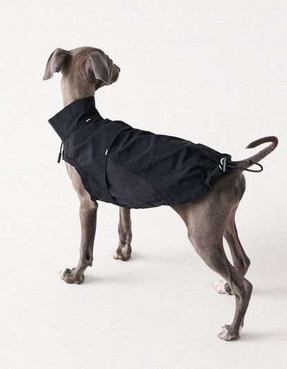 Dog wearing half-zip lightweight vest designed for easy putting on and removal