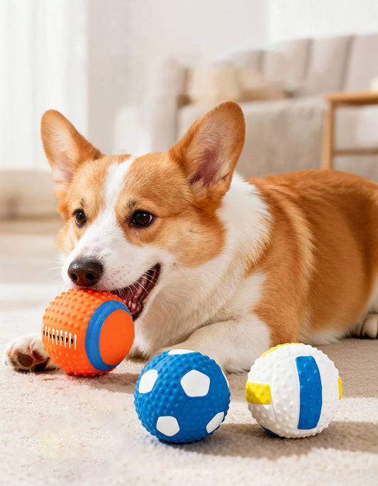 dog playing with squeaky rubber ball toy, interactive chew toy for dogs