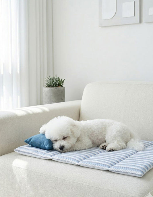 Dog resting calmly on a cooling pet mat after outdoor play, enjoying summer heat relief