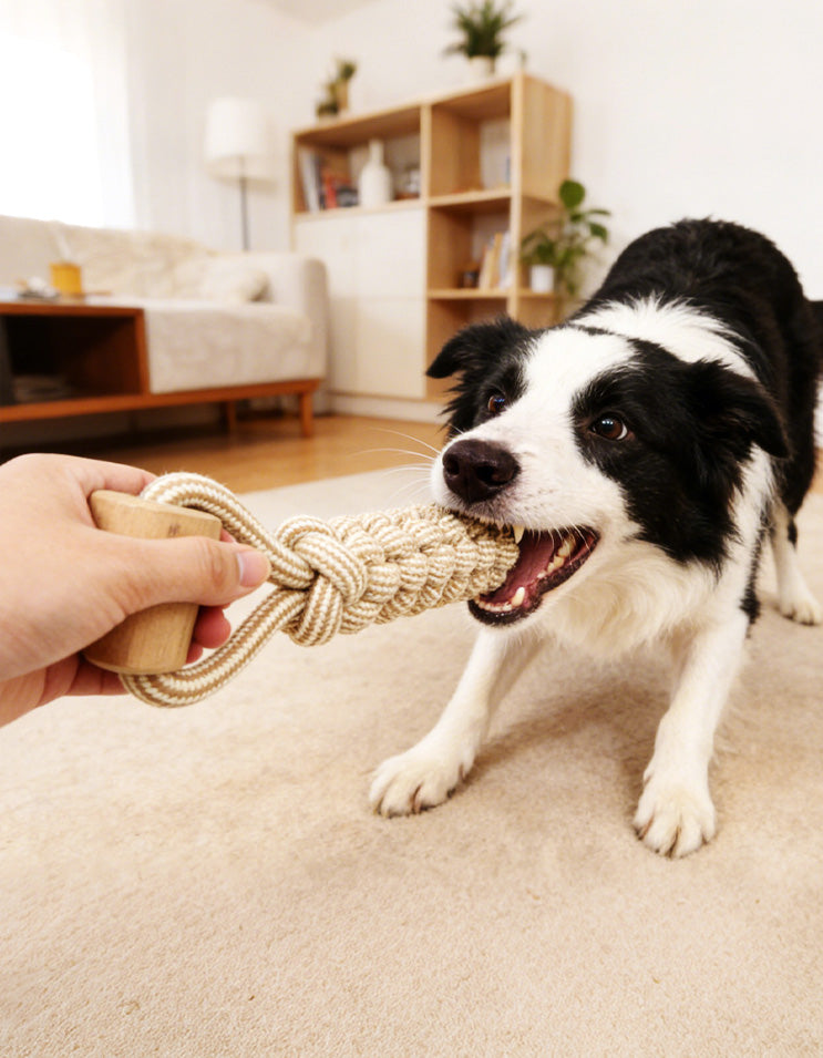 Dog and owner playing tug-of-war with eco-friendly wooden cotton rope toy indoors