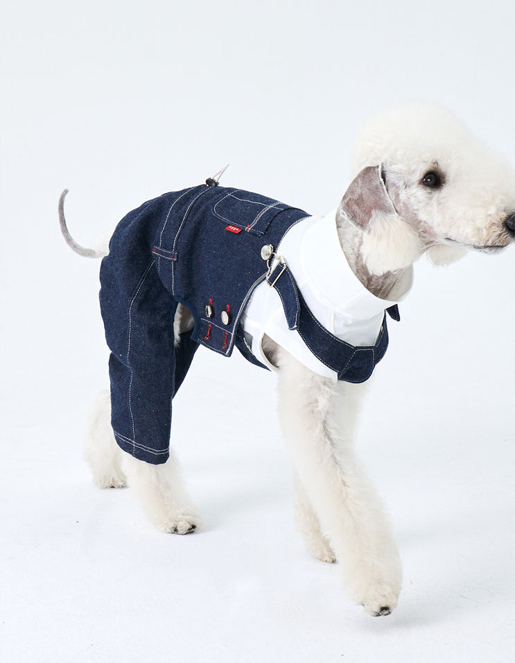 Dog wearing Indigo Days vintage denim overalls with adjustable shoulder straps and classic indigo cotton fabric.