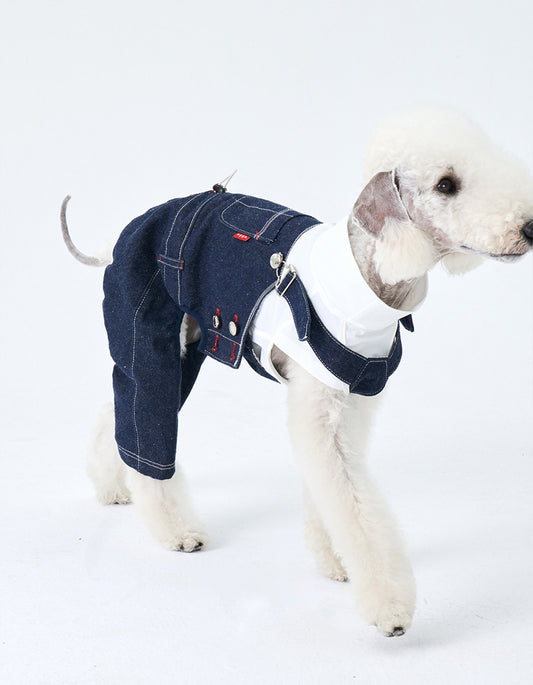 Dog wearing Indigo Days vintage denim overalls with adjustable shoulder straps and classic indigo cotton fabric.