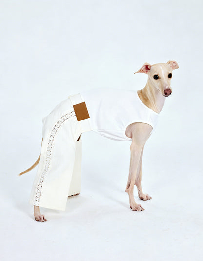Small dog wearing elegant white lace romper with soft silhouette design for stylish pet fashion