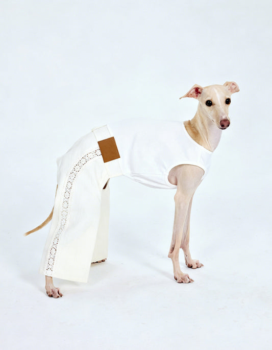 Small dog wearing elegant white lace romper with soft silhouette design for stylish pet fashion