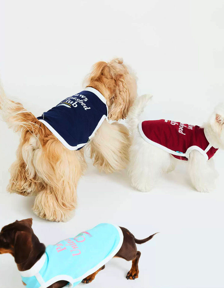 Lifestyle scene featuring multiple dogs in CHISU CoolBreeze cooling vests showing comfort, airflow, and seasonal summer styling.