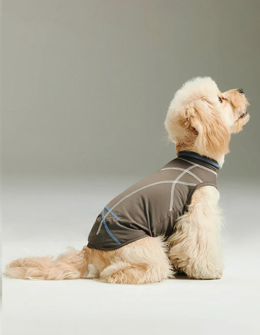 Puppy dressed in a quick-dry cooling shirt, ideal for warm weather and outdoor activities