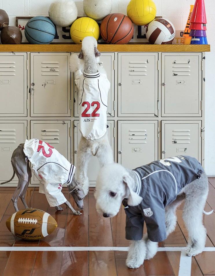 Active dog running in lightweight athletic jersey with breathable and flexible construction