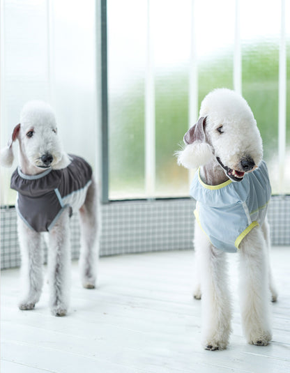 Small dog in breathable cooling vest designed for sun protection and hot weather comfort