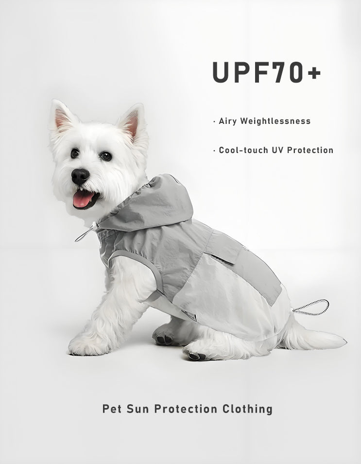 Small dog in hooded cooling vest designed for sun protection, lightweight and comfortable for outdoor running
