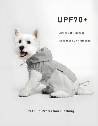 Small dog in hooded cooling vest designed for sun protection, lightweight and comfortable for outdoor running