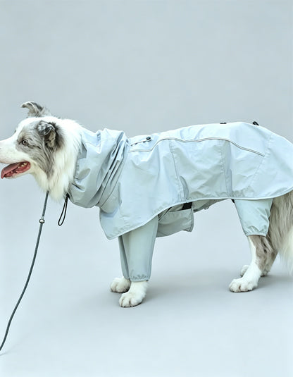Active dog wearing the CHISUPET TerraCape lightweight dog poncho jacket while exploring hiking trails