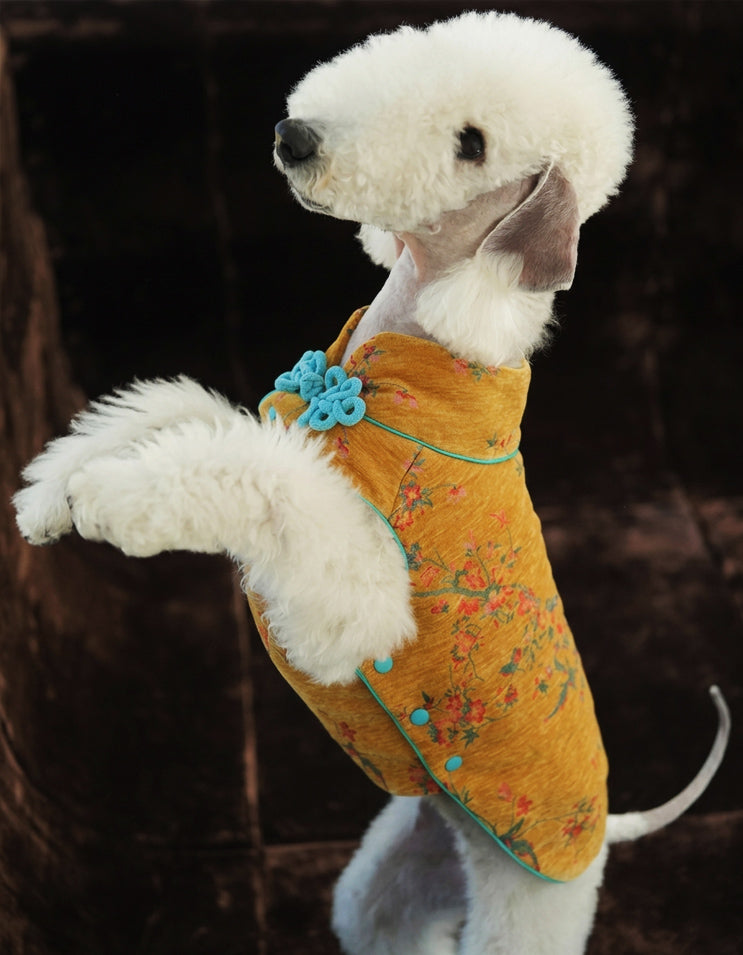 Soft silk-like padded dog jacket in Tang-style for indoor and outdoor wear