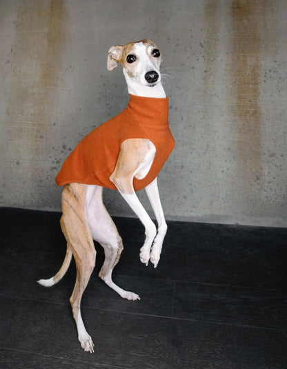 Small dog wearing red clay stretch belly vest indoors, soft breathable fabric ideal for air-conditioned rooms and daily walks