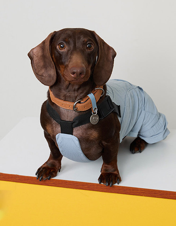 Blue CHISU SunTrail dog coveralls featuring lightweight nylon fabric and comfortable outdoor coverage.