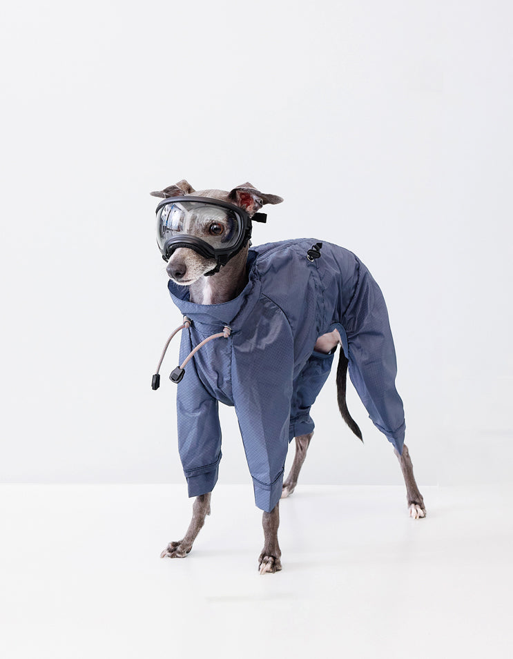 Blue CHISU AeroShield dog rain shell made from ultra-light nylon for outdoor weather protection.