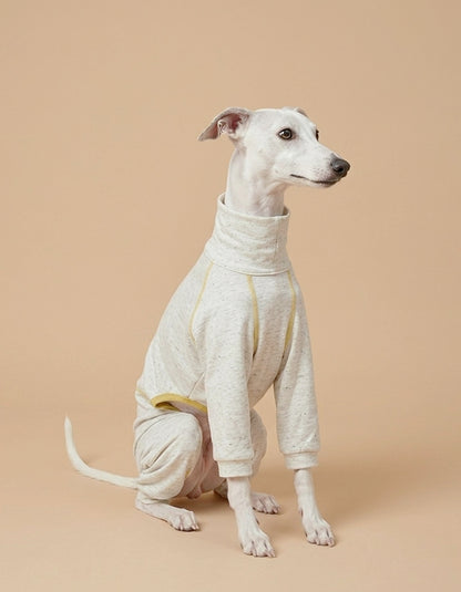 Whippet wearing a lightweight LinenAir dog shirt made with a 25% linen and 75% polyester blend for breathable all season comfort.