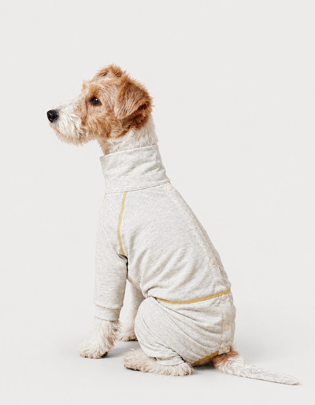 CHISUPET LinenAir summer dog shirt worn by a Cairn Terrier, featuring lightweight, breathable fabric for comfortable wear in air-conditioned spaces.