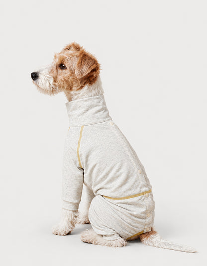 CHISUPET LinenAir summer dog shirt worn by a Cairn Terrier, featuring lightweight, breathable fabric for comfortable wear in air-conditioned spaces.