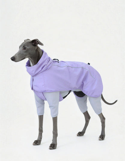 Long-legged dog wearing the purple CHISUPET TerraCape Outdoor Dog Set, featuring an outdoor cape and protective pants designed to help keep dogs clean during outdoor adventures.