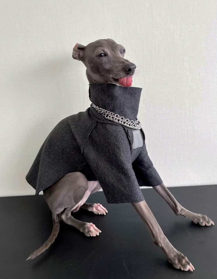 Dog t-shirt designed for dachshund long body dogs dust protection indoor wear