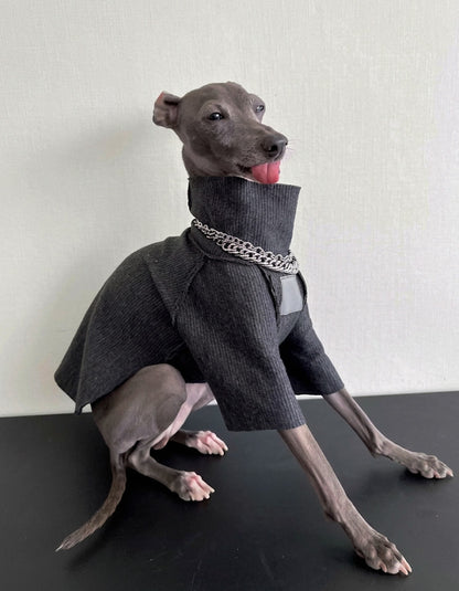 Dog t-shirt designed for dachshund long body dogs dust protection indoor wear
