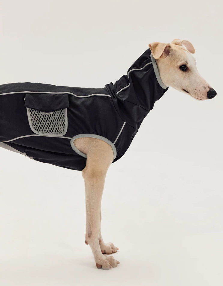 Dog wearing sport vest with side magnetic mesh pockets, combining style and utility