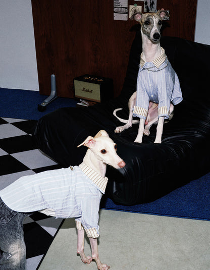 Dog and owner wearing matching denim clothing set inspired by modern pet lifestyle fashion