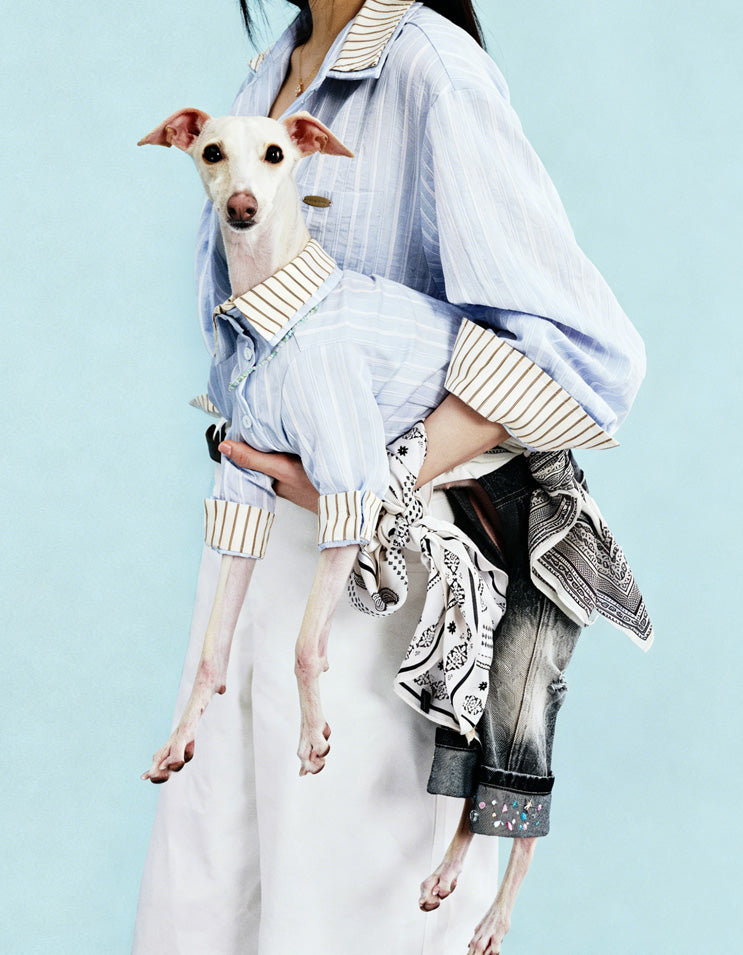 Dog and owner wearing matching denim shirts designed for stylish parent-and-pet companion wear