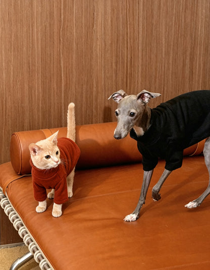 Orange cat and Italian Greyhound relaxing together while wearing soft antibacterial pet turtleneck sweaters.