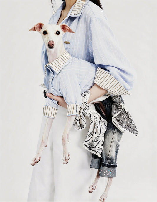 CHISUPET Matching denim shirt set for dogs & owners (includes pet & human shirts). Breathable, durable design with removable collar for outdoor comfort.