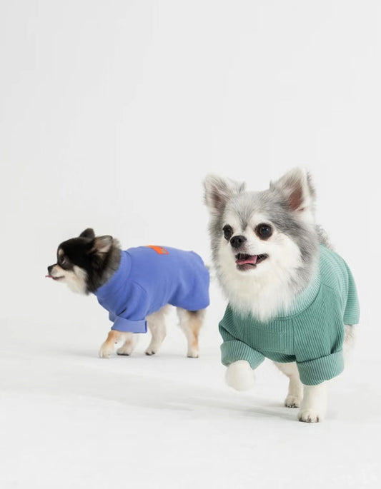 Minimalist solid color dog t-shirt in gray white purple and green for daily wear