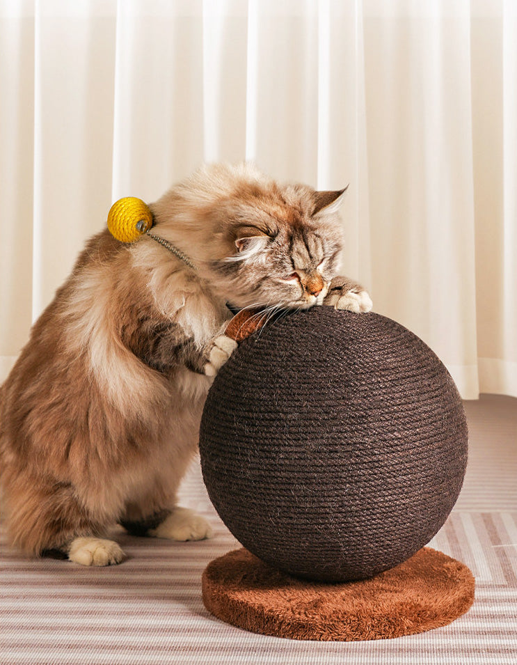 Two cats interacting and playing around novelty sisal scratch posts together