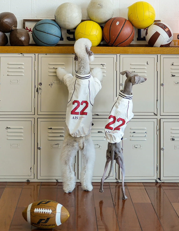Dog wearing retro No.22 sports jersey with clean vintage-inspired design and relaxed fit