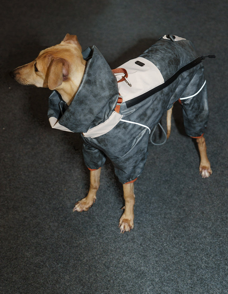 Side profile of a dog wearing the CHISU TrailShield waterproof shell in Ocean Glow Blue for rainy-day walks and outdoor activities.