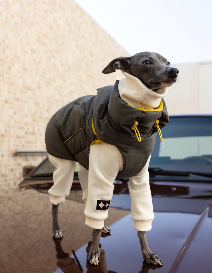 Italian Greyhound wearing the mineral gray CloudDown white duck down vest beside an off-road vehicle.