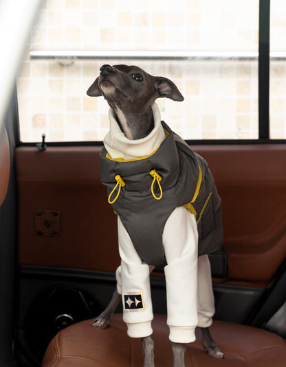 Italian Greyhound staying warm in the CHISU CloudDown 95 white duck down vest on an overland adventure.