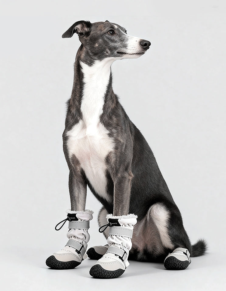 Medium dog wearing POPOCOLA PolarGuard long waterproof snow boots for warm and secure winter outdoor walks