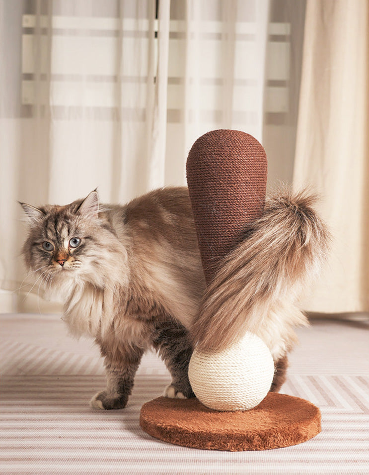 Cat scratch toy placed neatly in modern living room corner