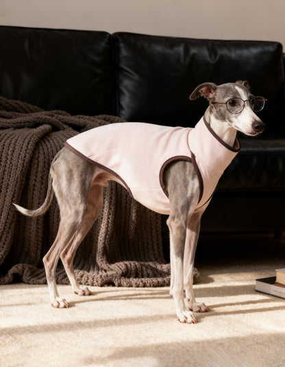A small dog dressed in a pink CHISU SilkCash vest, offering warmth and stylish winter protection.