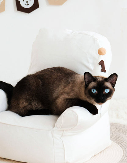 playful cat wearing lightweight felt birthday hat and collar set designed for short photo moments