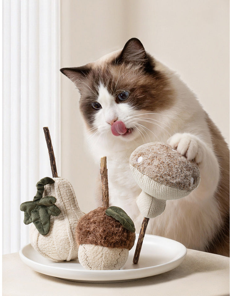 Cat playing with soft catnip toy, bite-resistant plush kitten chew toy for indoor enrichment