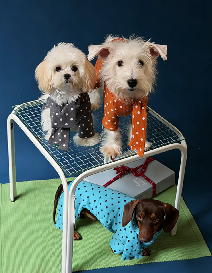Three small dogs—Maltese, West Highland Terrier, Dachshund—modeling French polka dot dog rompers