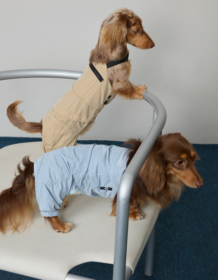 Dog enjoying outdoor walks while wearing CHISU SunTrail coveralls with lightweight sun protection.