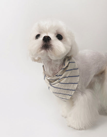 Maltese dog wearing light blue striped cotton bandana with pleated knot design