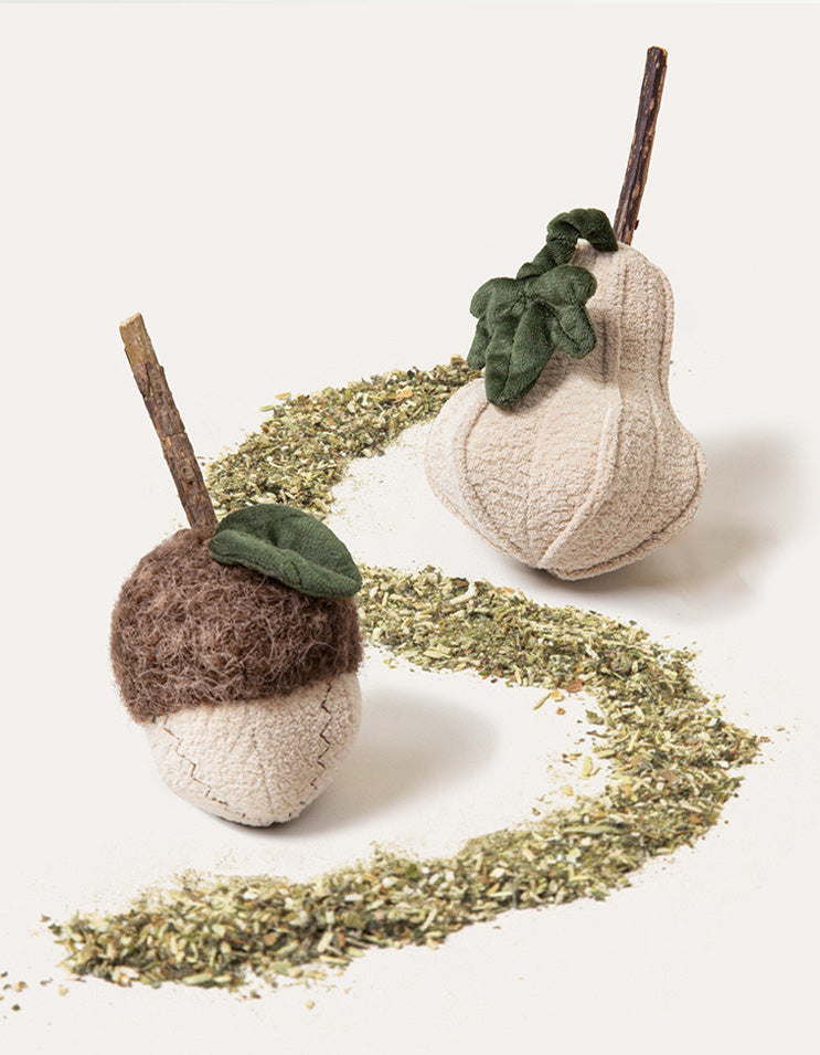 Pumpkin shaped matatabi cat toy filled with cat grass and PP cotton, lightweight and chewable