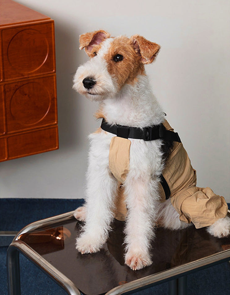 Dog wearing oversized CHISU SunTrail coveralls with a relaxed silhouette and lightweight feel.
