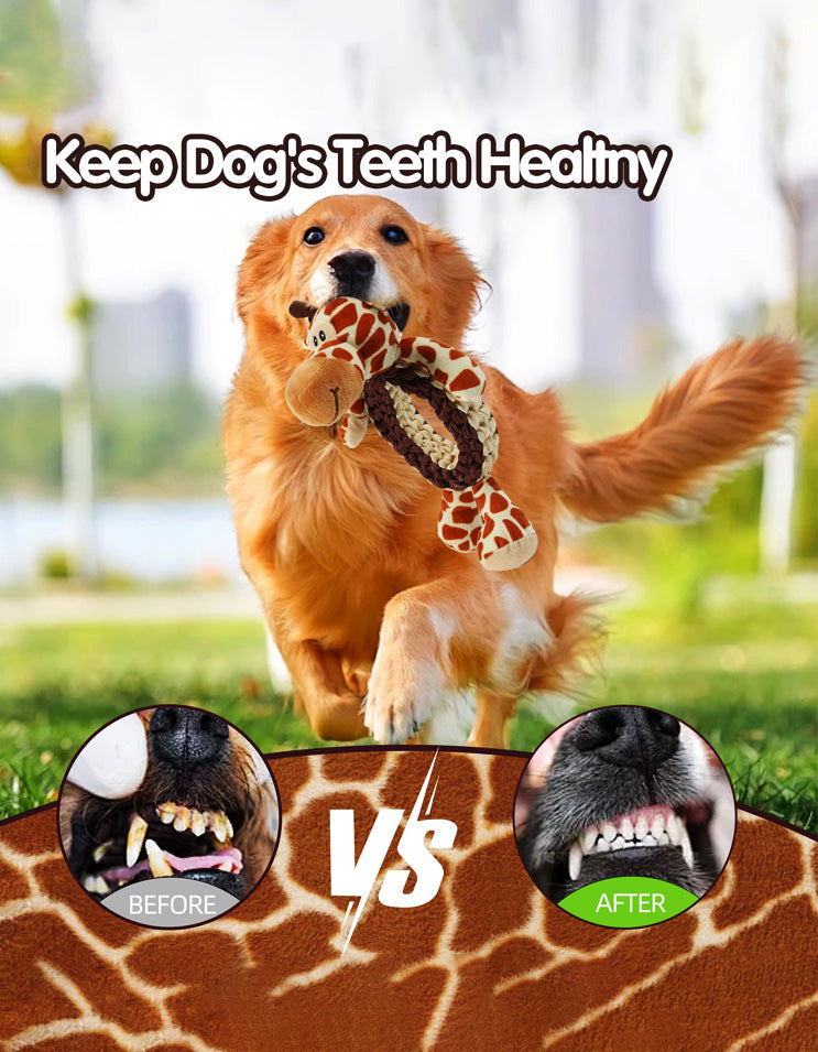 Dog chasing and fetching rope toy for active outdoor play