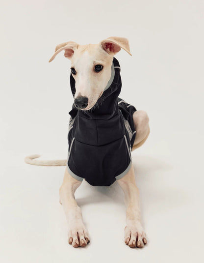Dog in sleeveless athletic vest, lightweight and flexible for running and training