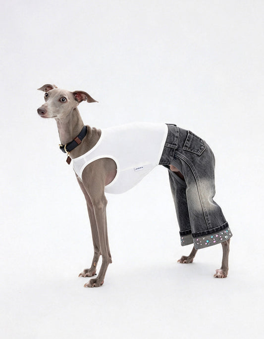 CHISUPET smoke gray pet denim overalls with rhinestone embellished pant hems