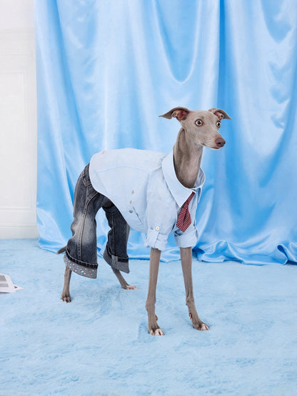 Dog wearing smoke gray CHISUPET pet denim overalls with rhinestone embellished pant hems with shirt in an autumn look